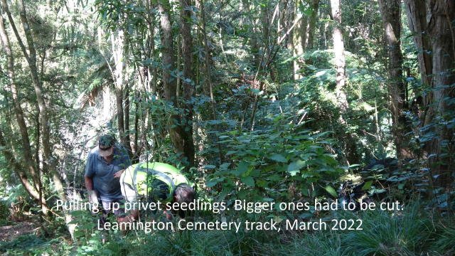 Leamington cemetery track 3.3.22